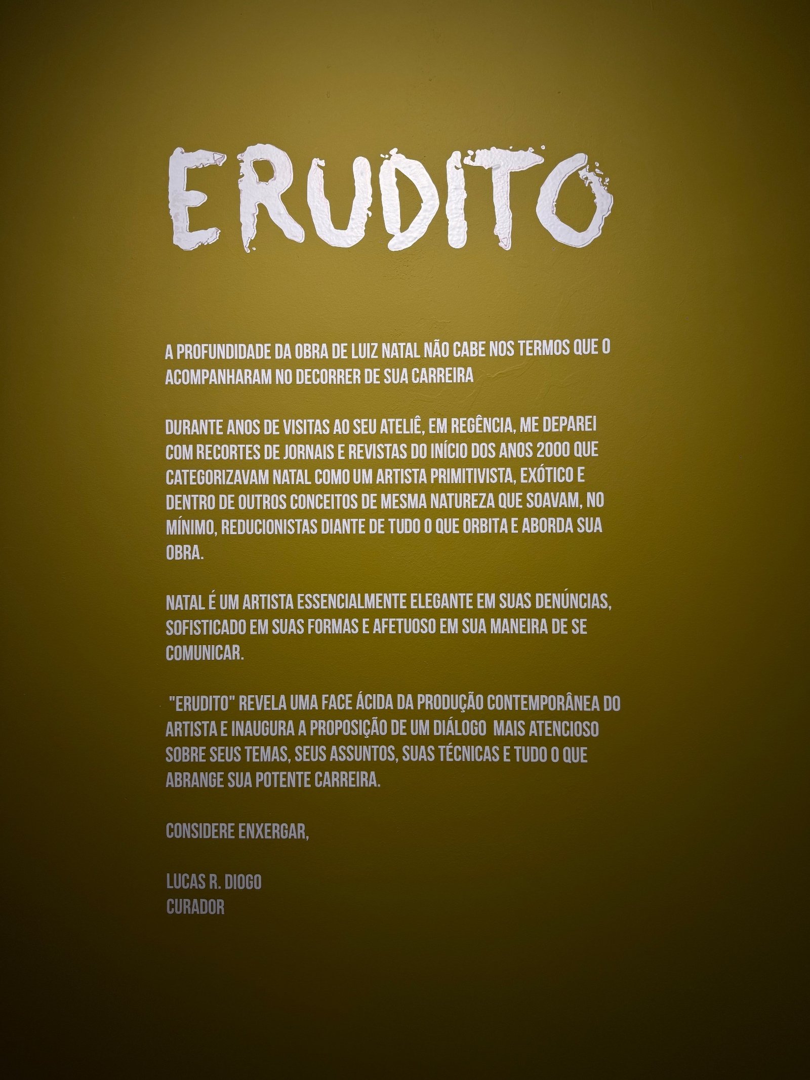 Texto curatorial.