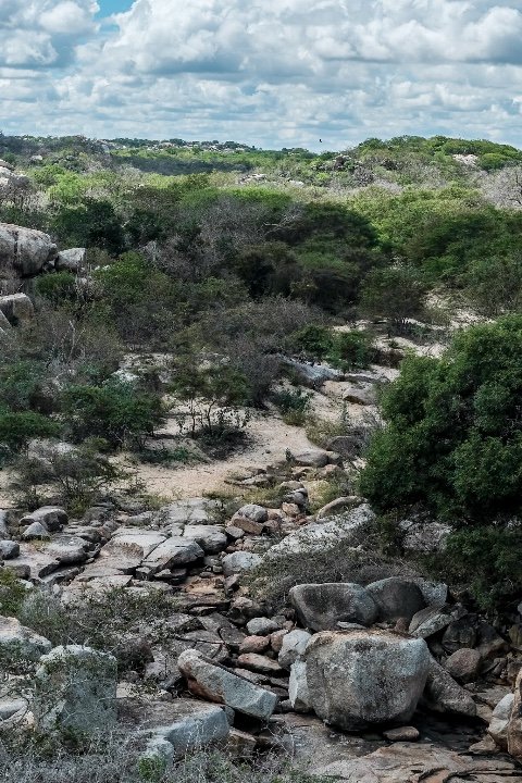 Vista da Saca de Lã.