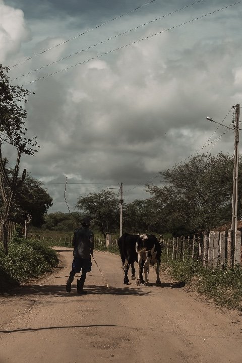 Estrada para Pão de Açúcar